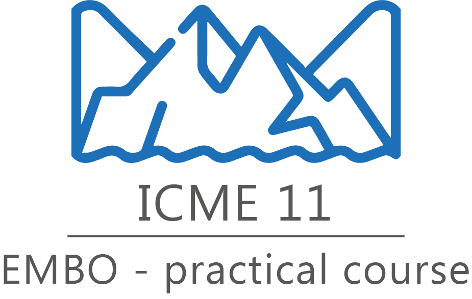 Tms Icme 2024 Henka Chrystel
