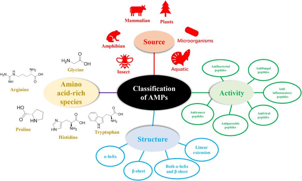 Figure 2 - Classification of AMPs
CREDITS: Yuchen Huan et al., 2020