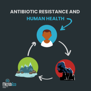 Antibiotic resistance and human health