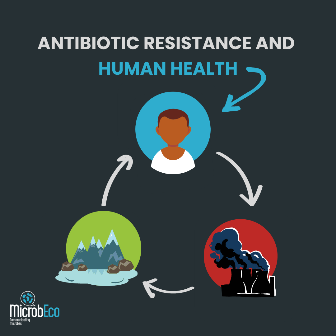 Antibiotic resistance and human health