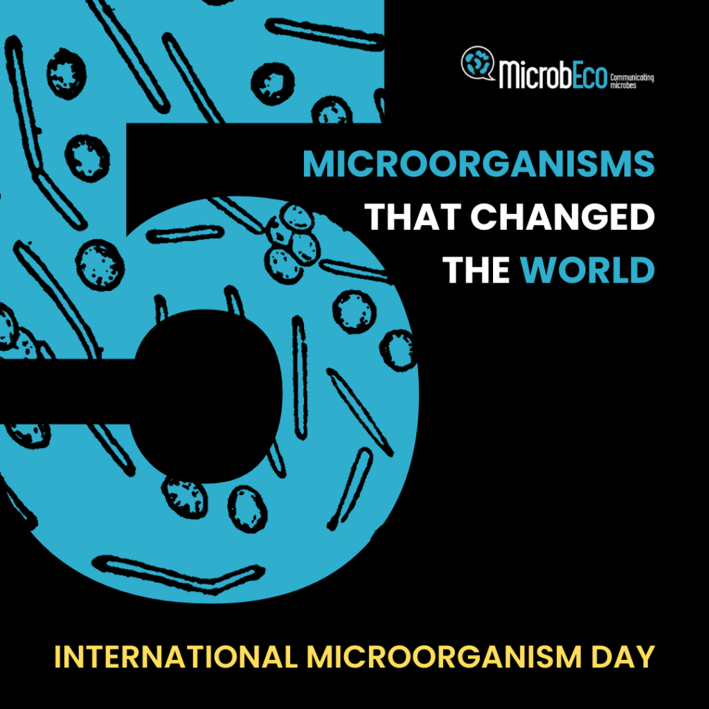 Fig.1 International Microorganism Day 
Credits: microbic.org