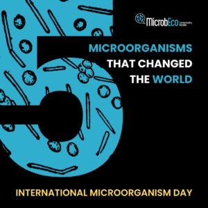 International Microorganism Day